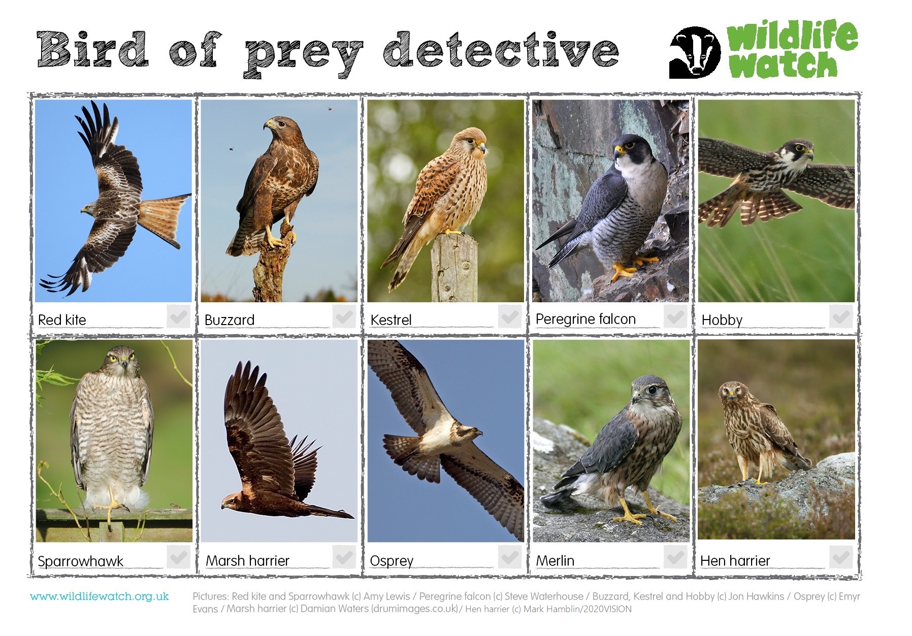 Education Resources Kent Wildlife Trust